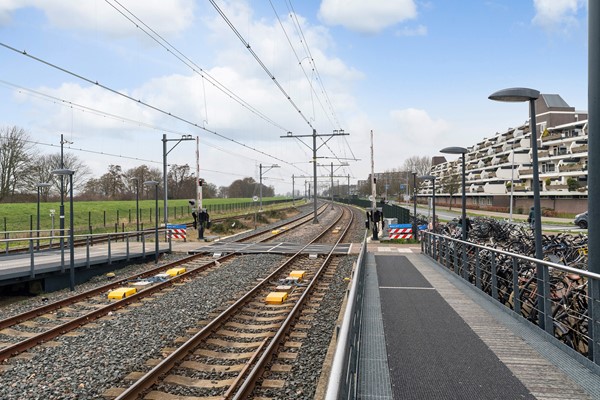 Asserdreef 11_29.jpg